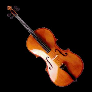 violoncello