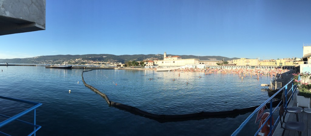 Rondò triestino 2015.