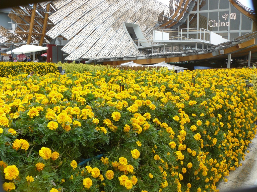 La carta di Milano. L’arte dei buoni&nbsp;propositi.