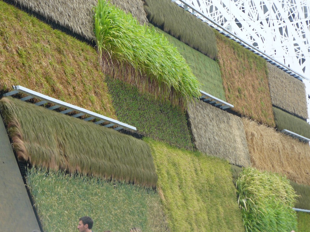 Expo 2015. Girotondo&nbsp;pop.