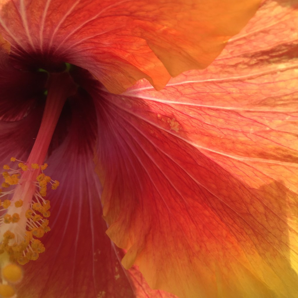 Il merito che distrugge le&nbsp;società.